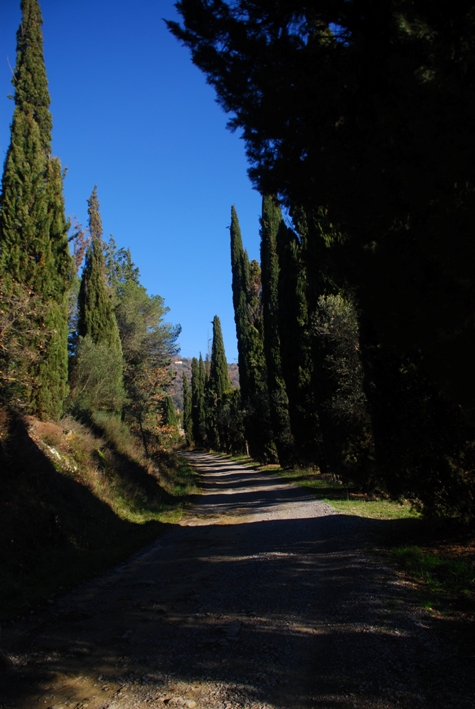 Clicca qui per vedere l'immagine in dettaglio